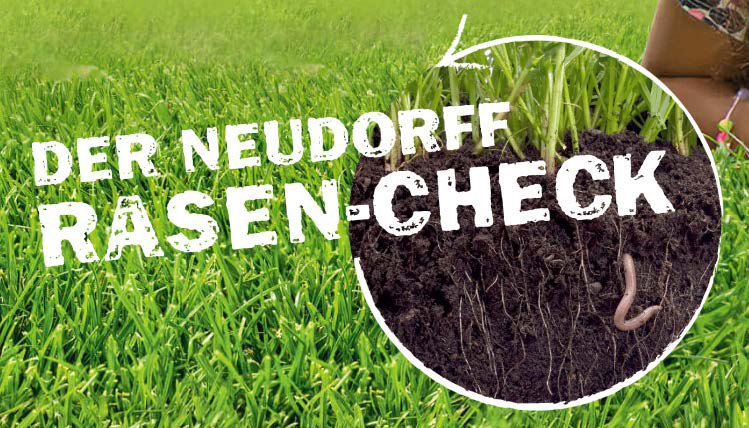 Neudorff Rasen Konzept